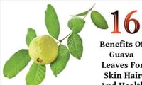 BEAUTY : Top benefits of Guava for skin
